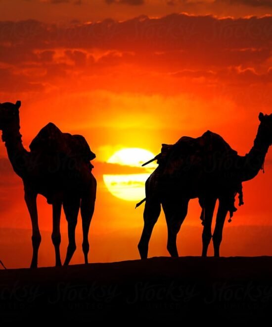 02 Nights Jaisalmer Package Jaisalmer